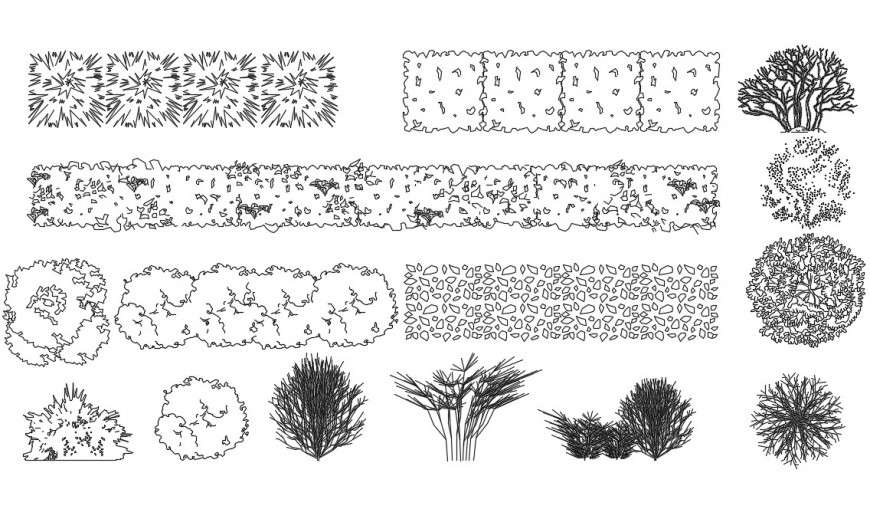 CAd drawings details of top elevation of bushes Cadbull